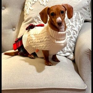 Meet your Posher, April